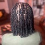 Comb Twist(2 Strand)