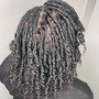 Starter Locs