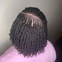 Spring  Twists