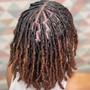 Starter Locs