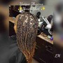 Small Senegalese Twists/Passion Twists