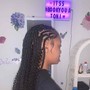 Braided PonyTail