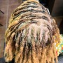 Root Color Touch Up