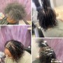 Starter Locs 1 -Short