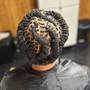 Individual Braids/Two Strand Twists