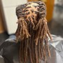 Starter Locs - Locsmith method