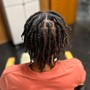 Individual Braids/Two Strand Twists