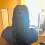 Mini Knotless Braids (French curls )