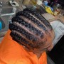 Feed-In Braids