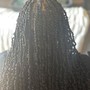 Passion Twists (hair not included)