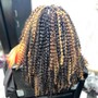 Half Small Feed / Half Marley Twist (Waist Length )