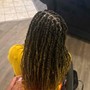 Kinky Twist