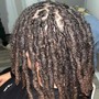 Loc Maintenance / Retwist