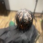 Starter Locs Mohawk or fade