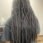 Starter Locs