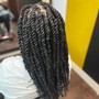 Cuban/Havana Twists