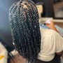 Cuban/Havana Twists