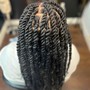 Cuban/Havana Twists