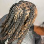 Starter loc(locs 6 months or less)