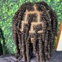 Loc Maintenance retwist full head wash and style