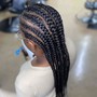 Feed-in braids