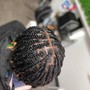 2 Strand Twist