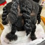 Natural Twists