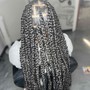 Jumbo Passion Braids Waist Length