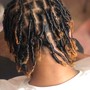 Starter Locs