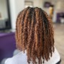 Root Touch Up