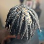 Starter locs