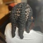 Two strand twist