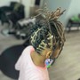 Interlocking (starter. Locs)