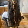 Starter Locs