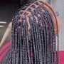 Small midback Box Braids