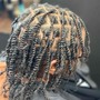 Two Strand Twist