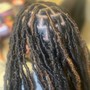 Starter Locs