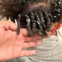 Mini Twists