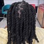 Two Strand Twist Natural Hair