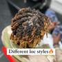 Starter Loc coils or Comb twist