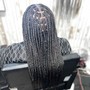 1 Layer Large Feed In Braids (Waist Length)