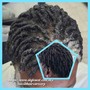 Men Braids ( Starting Price )