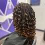 Human Hair Loc Extensions