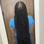 Natural Twists