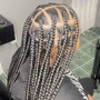 Starter Locs (2-strands)