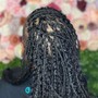 Men's Braids twist out (no locs)