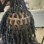 Teen Starter locs