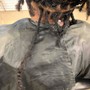 Adult lock retwist and style to mid back length