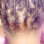 Tree Braids