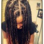 Box Braids